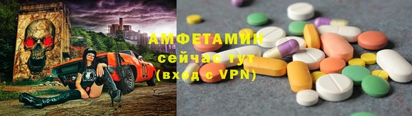 крисы Горняк