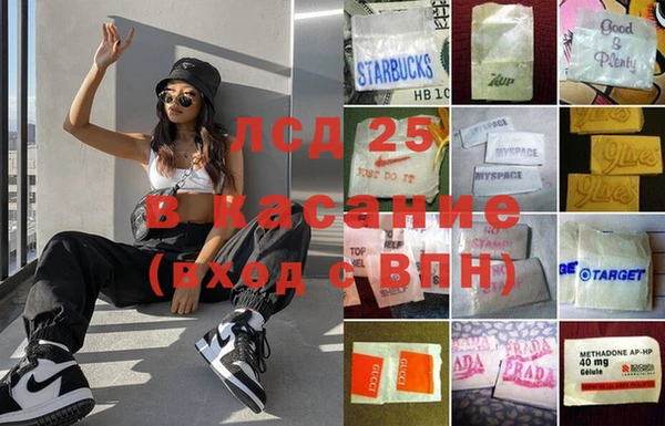 крисы Горняк