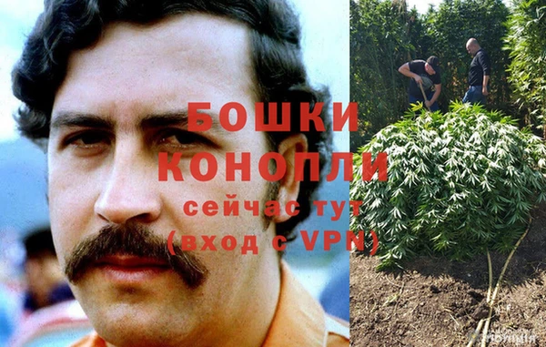 крисы Горняк