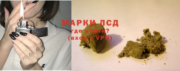 PSILOCYBIN Горно-Алтайск