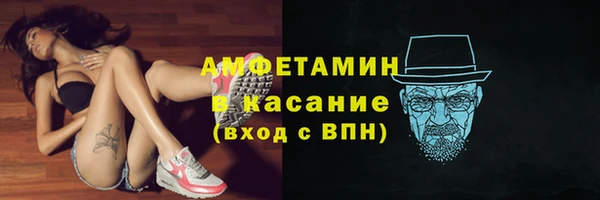 крисы Горняк