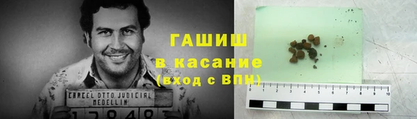 крисы Горняк