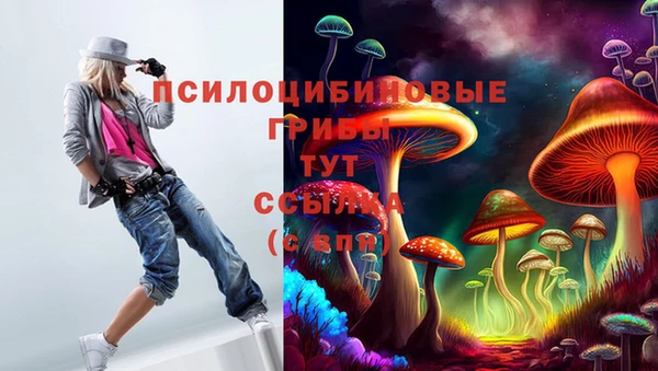 крисы Горняк