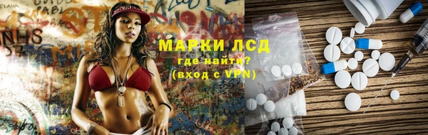крисы Горняк