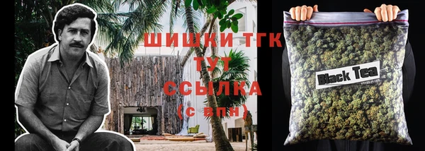 крисы Горняк