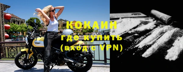 PSILOCYBIN Горно-Алтайск