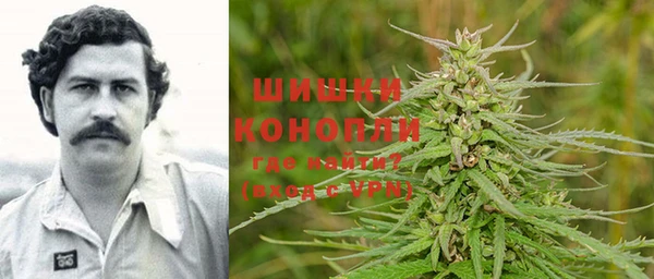 PSILOCYBIN Горно-Алтайск