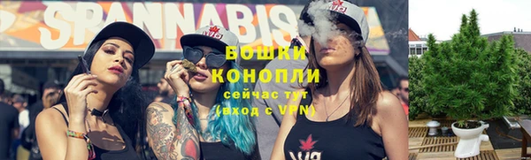 крисы Горняк